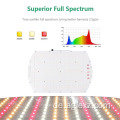 Volles Spektrum -LED -Wachstum von Leuchten für Gemüse